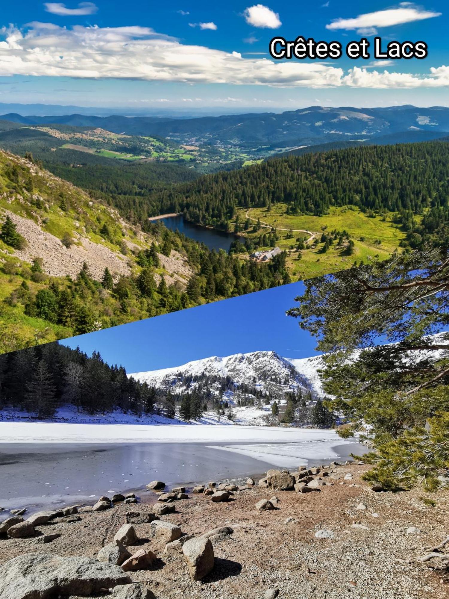 Entre Ville Et Vignes - Gite Classe 3 Etoiles Ingersheim Exteriér fotografie