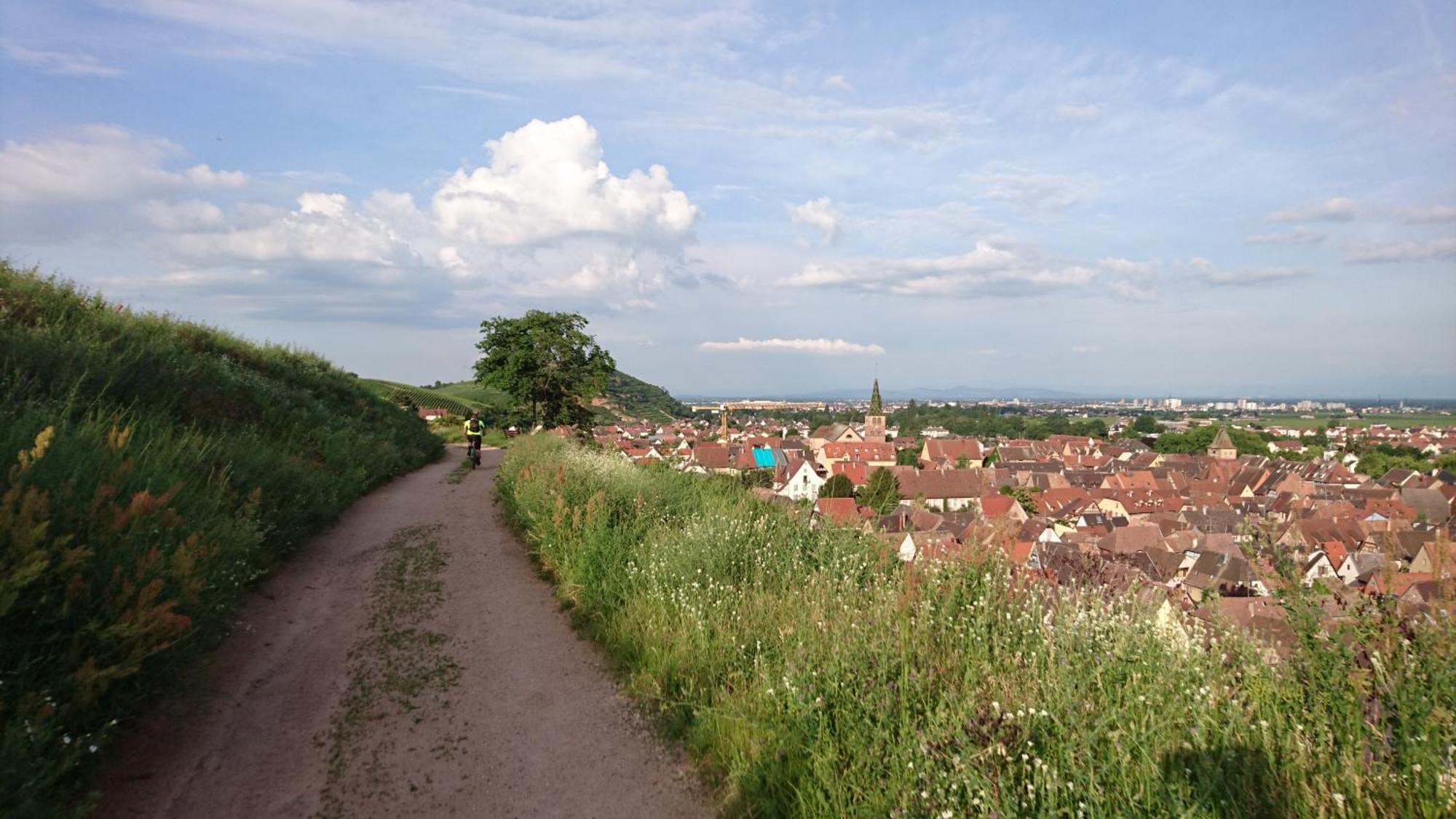 Entre Ville Et Vignes - Gite Classe 3 Etoiles Ingersheim Exteriér fotografie
